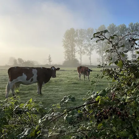 Hébergement de vacances Chaleureux Normand En Zone Natura 2000 Freneuse-Sur-Risle