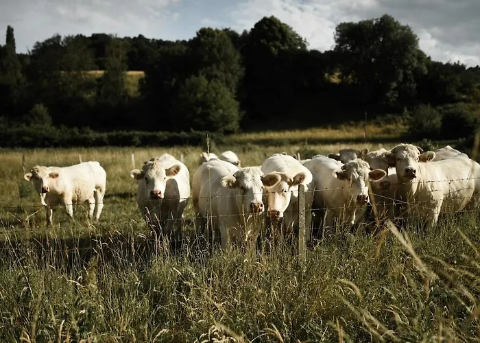 Chaleureux Normand En Zone Natura 2000 Holiday home Freneuse-Sur-Risle