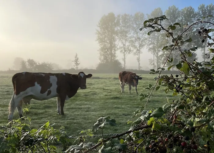 Holiday home Chaleureux Normand En Zone Natura 2000 Freneuse-Sur-Risle